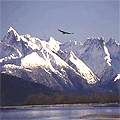 Coast Range 
   view from Haines
