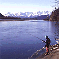 Fisherman in Chilkat Valley 
Bald Eagle Preserve